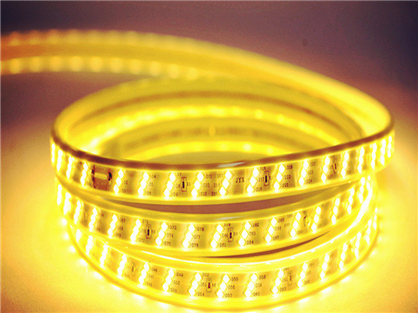 AC110V/220V LED Waterproof Srip