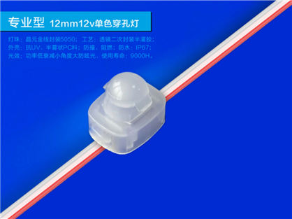 12V Pixel Point 12mm